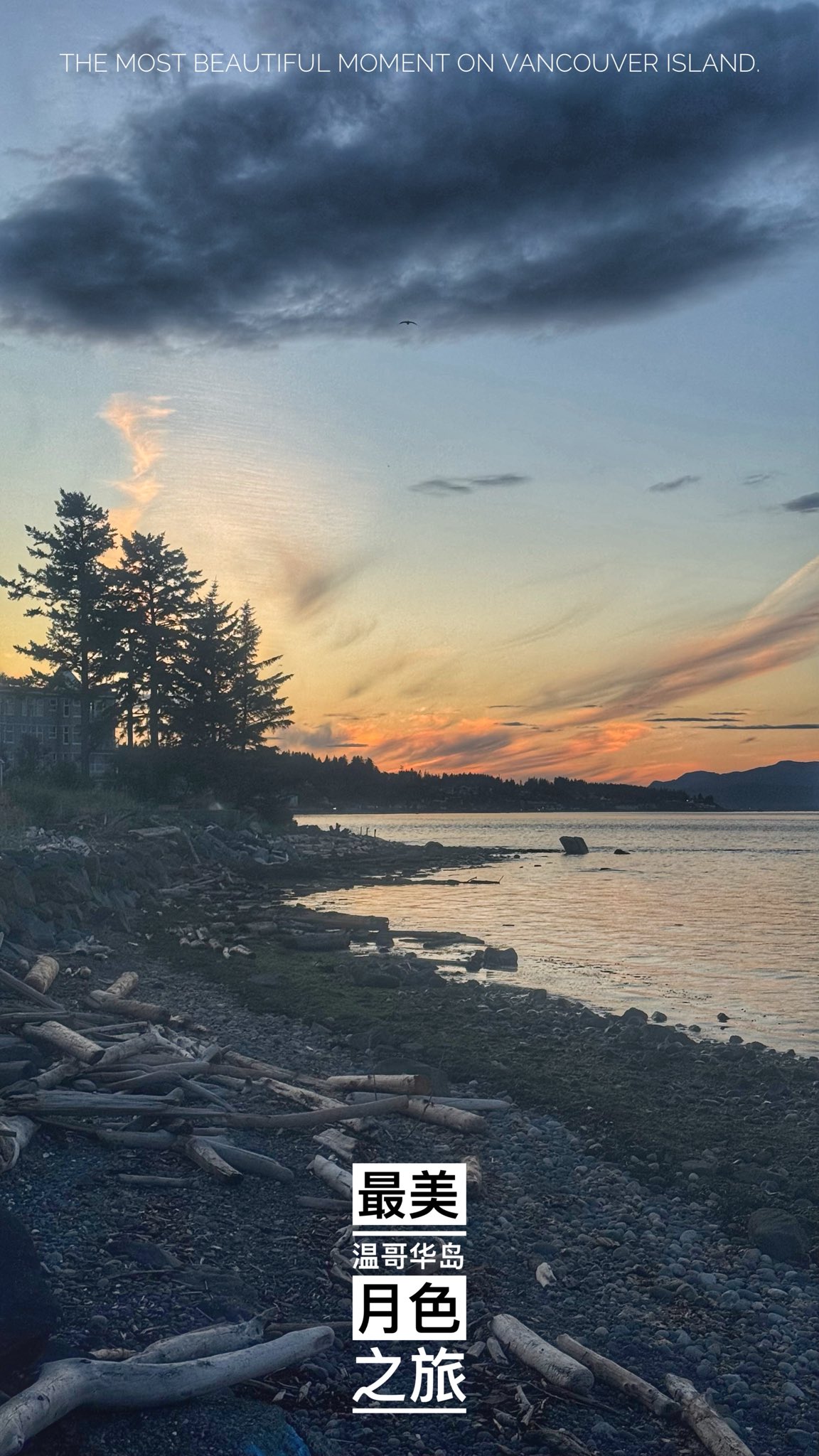 A breathtaking aerial view of Campbell River’s rugged coastline and lush temperate rainforest, representing the most beautiful "Crowning Achievement" of the British Columbia wilderness.