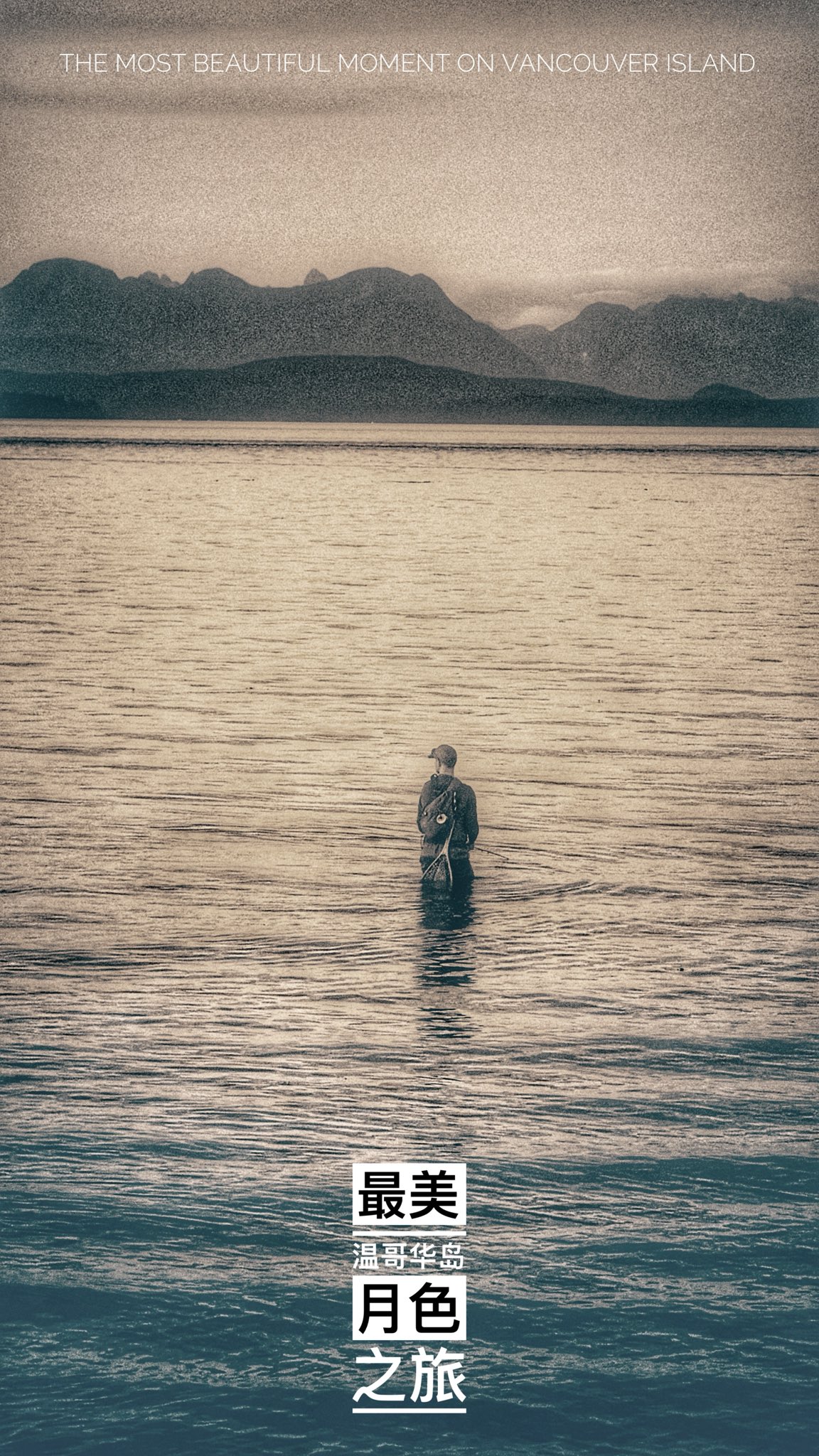 An action shot of a silver salmon leaping from the Discovery Passage waters in Campbell River, the Salmon Capital of the World and the most beautiful "Crowning Achievement" (CA) of coastal British Columbia.