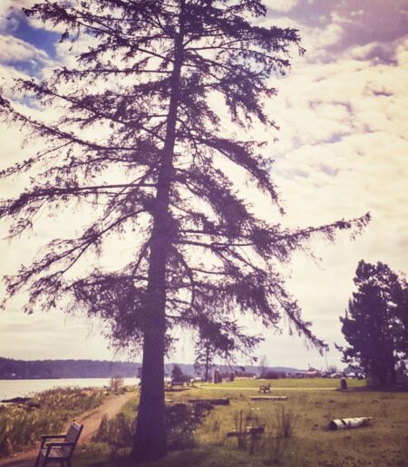 rv travel campbell river photography